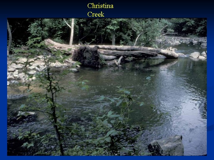 Christina Creek 