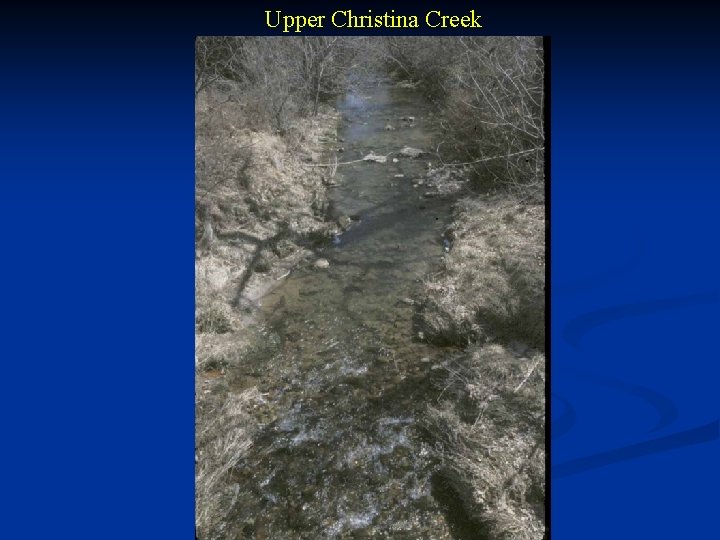 Upper Christina Creek 