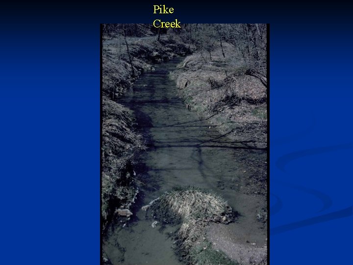 Pike Creek 