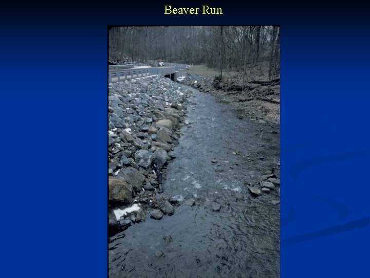 Beaver Run 