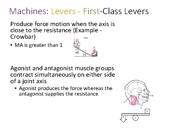 Machines: Levers - First-Class Levers Produce force motion when the axis is close to