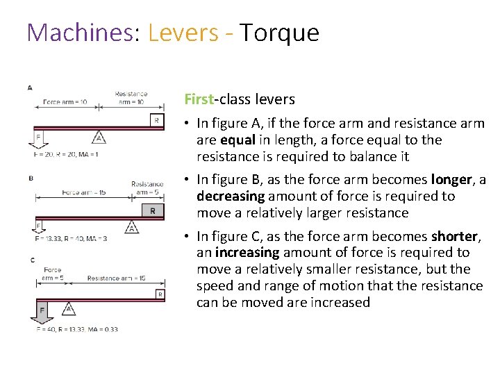 Machines: Levers - Torque First-class levers • In figure A, if the force arm