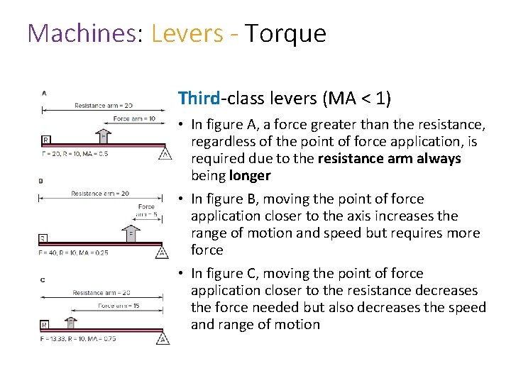 Machines: Levers - Torque Third-class levers (MA < 1) • In figure A, a