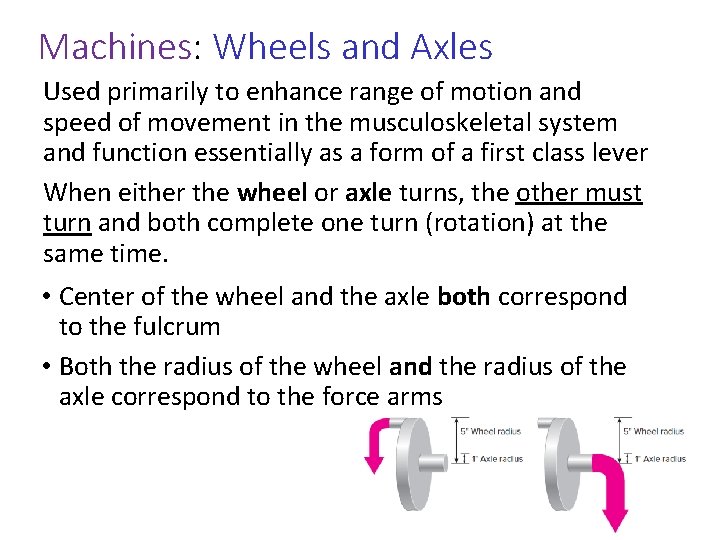 Machines: Wheels and Axles Used primarily to enhance range of motion and speed of