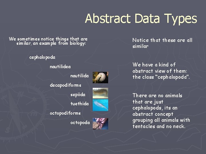 Abstract Data Types We sometimes notice things that are similar, an example from biology: Abstract Data Types We sometimes notice things that are similar, an example from biology: