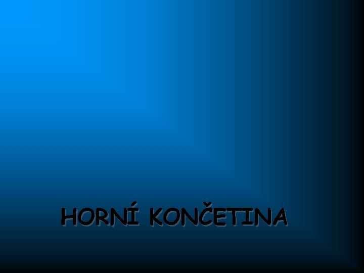 HORNÍ KONČETINA 