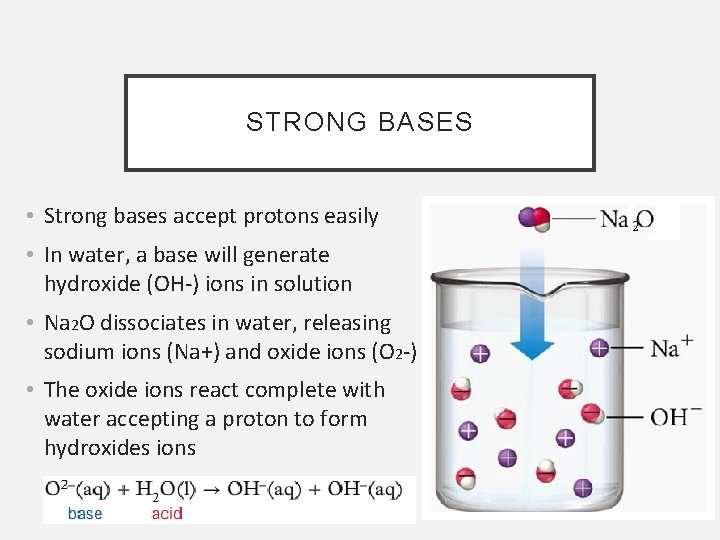 STRONG BASES • Strong bases accept protons easily • In water, a base will