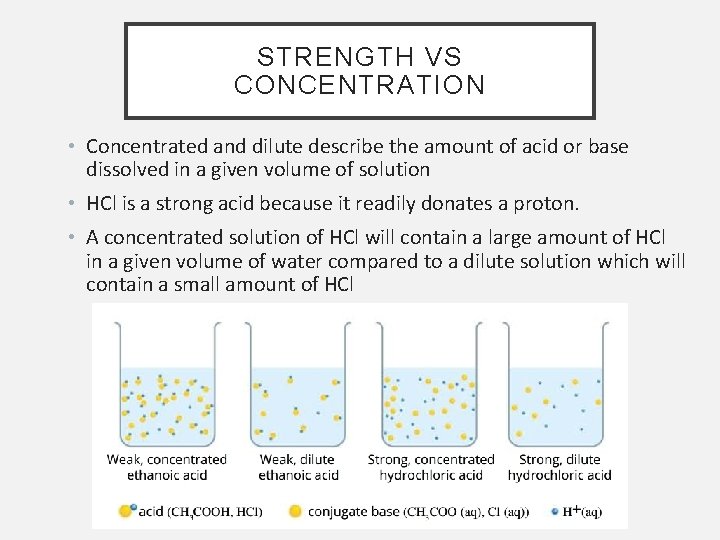 STRENGTH VS CONCENTRATION • Concentrated and dilute describe the amount of acid or base