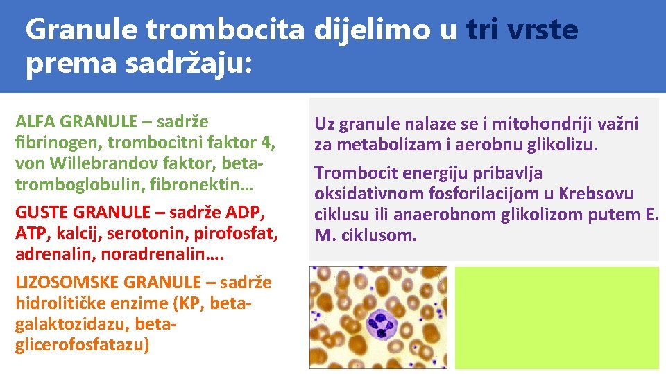 Granule trombocita dijelimo u tri vrste prema sadržaju: ALFA GRANULE – sadrže fibrinogen, trombocitni