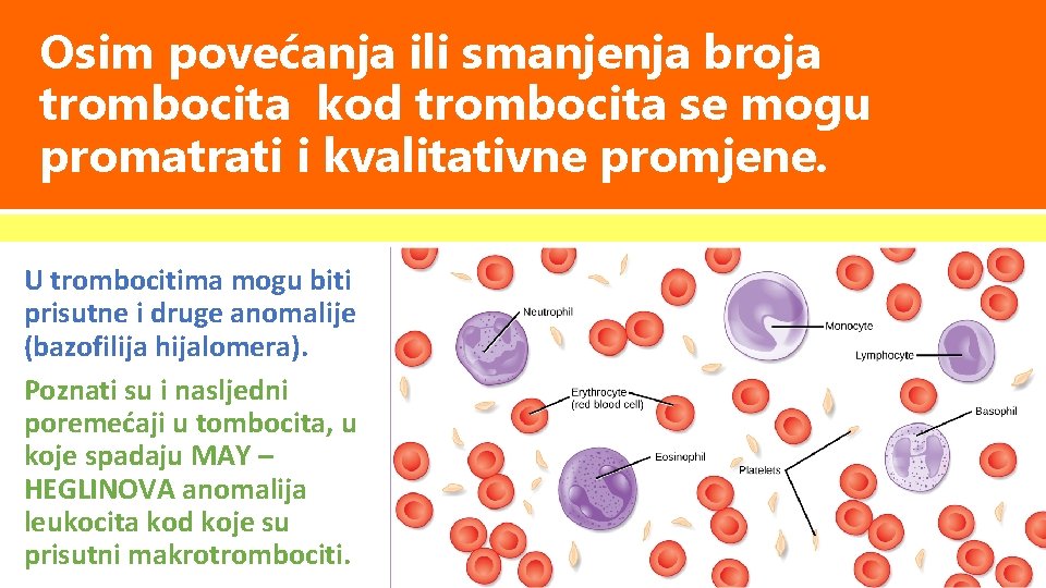 Osim povećanja ili smanjenja broja trombocita kod trombocita se mogu promatrati i kvalitativne promjene.