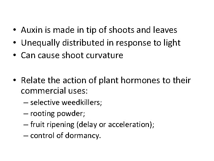  • Auxin is made in tip of shoots and leaves • Unequally distributed