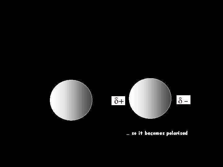 … so it becomes polarised 