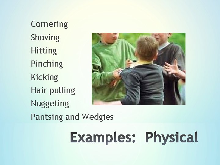 Cornering Shoving Hitting Pinching Kicking Hair pulling Nuggeting Pantsing and Wedgies 