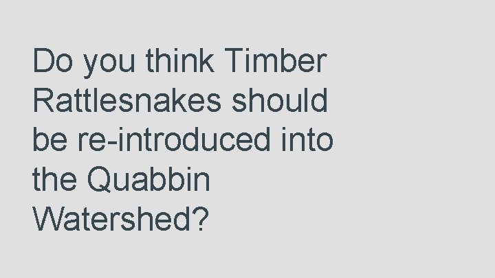 Do you think Timber Rattlesnakes should be re-introduced into the Quabbin Watershed? 