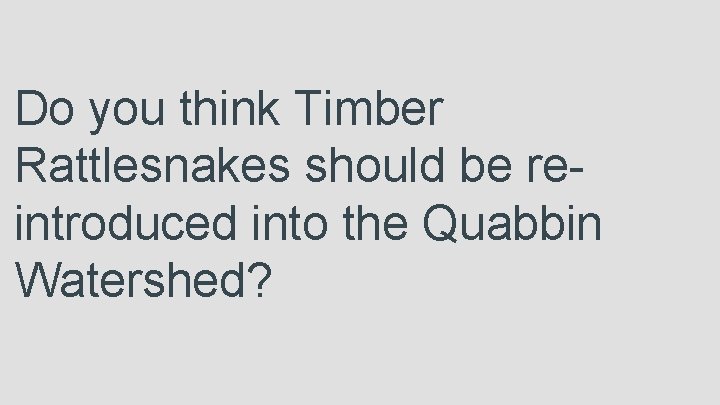 Do you think Timber Rattlesnakes should be reintroduced into the Quabbin Watershed? 