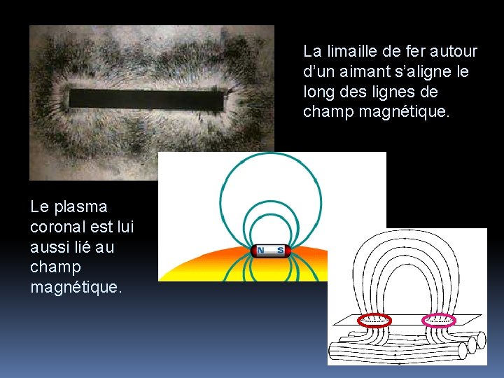 La limaille de fer autour d’un aimant s’aligne le long des lignes de champ