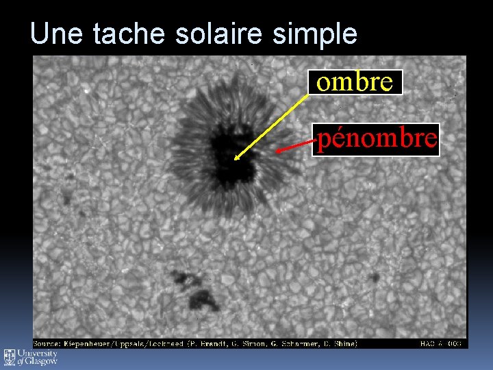 Une tache solaire simple ombre pénombre 