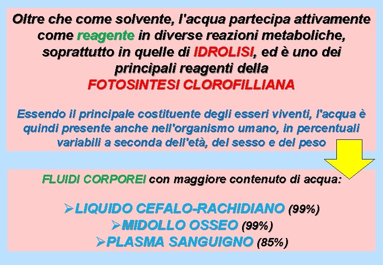 Oltre che come solvente, l'acqua partecipa attivamente come reagente in diverse reazioni metaboliche, soprattutto