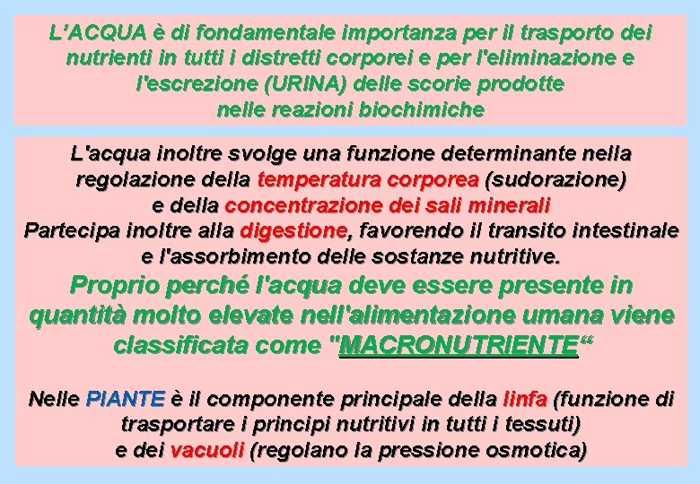 L’ACQUA è di fondamentale importanza per il trasporto dei nutrienti in tutti i distretti