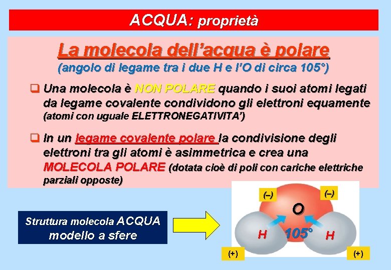 ACQUA: proprietà La molecola dell’acqua è polare (angolo di legame tra i due H