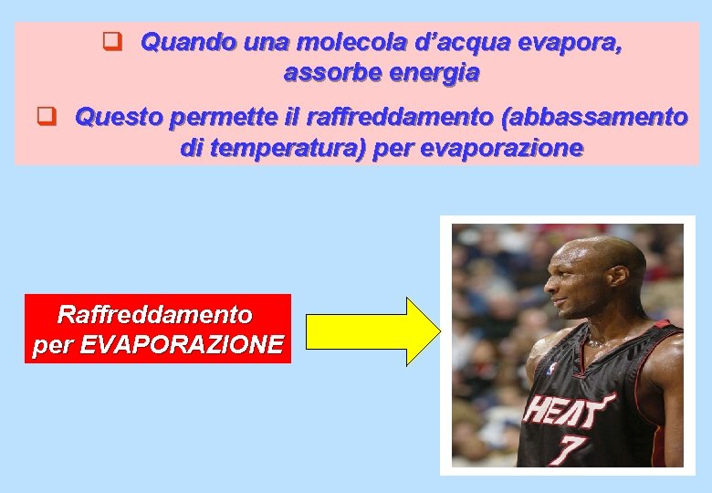 q Quando una molecola d’acqua evapora, assorbe energia q Questo permette il raffreddamento (abbassamento