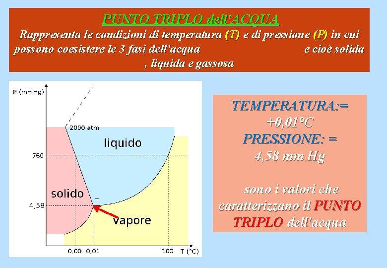 PUNTO TRIPLO dell'ACQUA Rappresenta le condizioni di temperatura (T) e di pressione (P) in