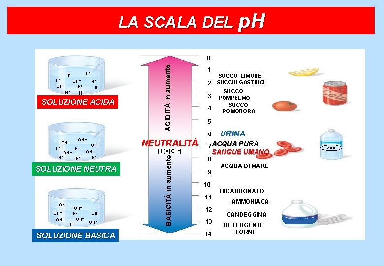 LA SCALA DEL p. H H+ OH– H+ H+ H+ SOLUZIONE ACIDA OH– H+