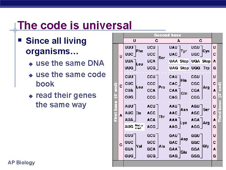 The code is universal § Since all living organisms… use the same DNA u
