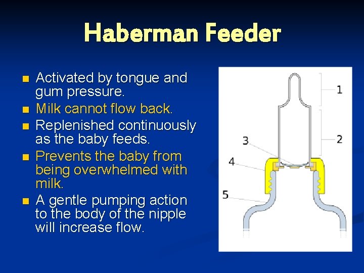 Haberman Feeder n n n Activated by tongue and gum pressure. Milk cannot flow