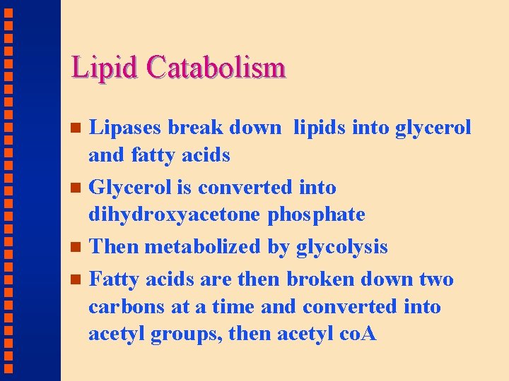 Lipid Catabolism Lipases break down lipids into glycerol and fatty acids n Glycerol is