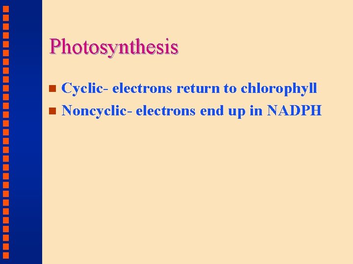 Photosynthesis Cyclic- electrons return to chlorophyll n Noncyclic- electrons end up in NADPH n