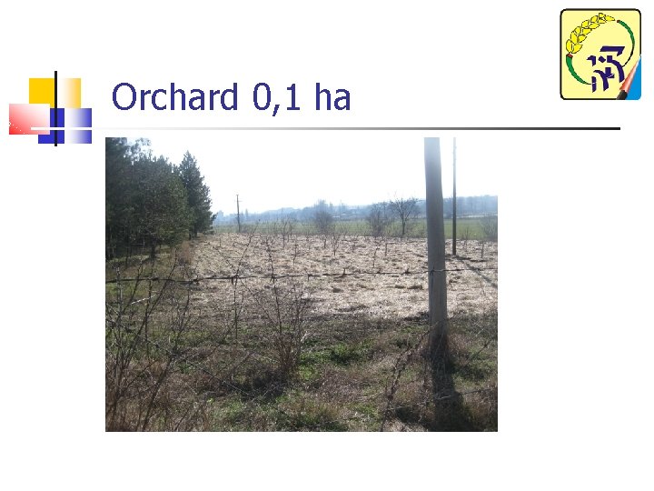 Orchard 0, 1 ha 