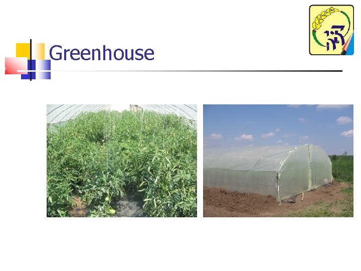 Greenhouse 