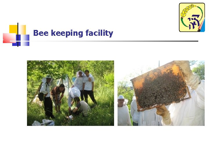 Bee keeping facility 