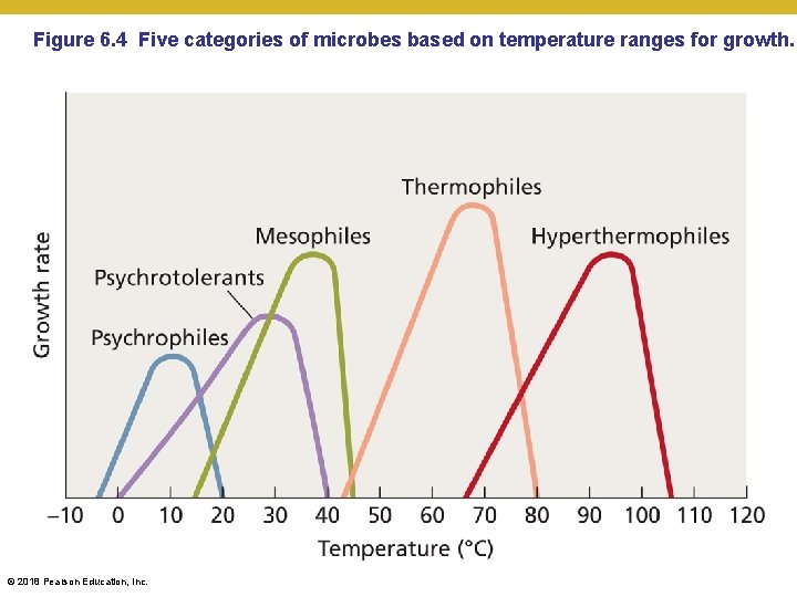 Figure 6. 4 Five categories of microbes based on temperature ranges for growth. ©