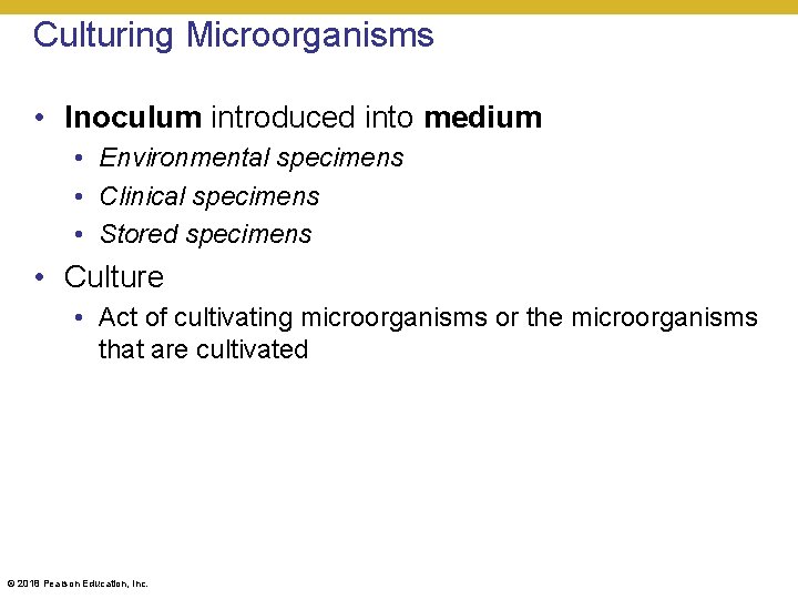 Culturing Microorganisms • Inoculum introduced into medium • Environmental specimens • Clinical specimens •