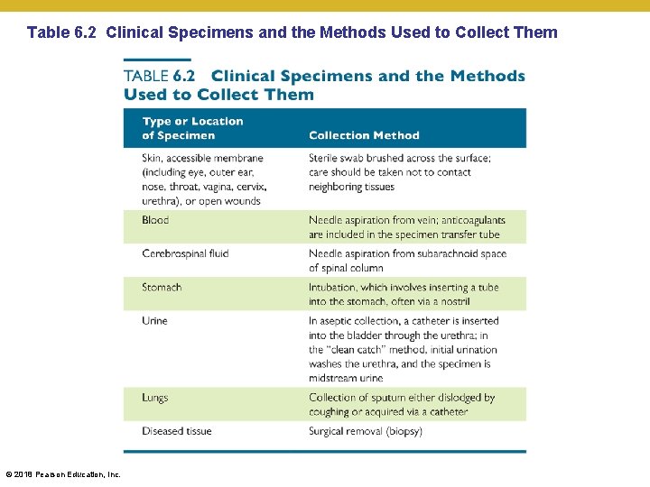 Table 6. 2 Clinical Specimens and the Methods Used to Collect Them © 2018