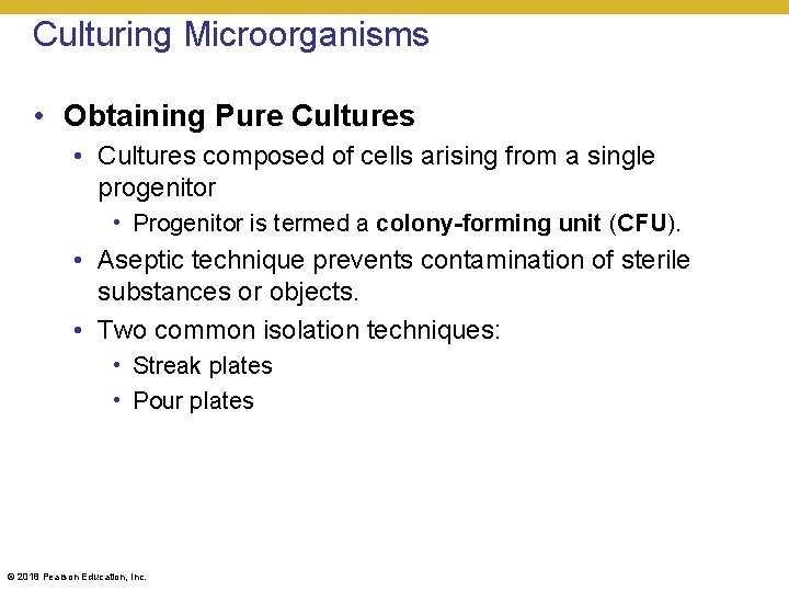 Culturing Microorganisms • Obtaining Pure Cultures • Cultures composed of cells arising from a