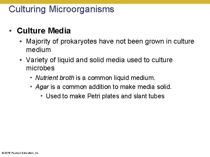 Culturing Microorganisms • Culture Media • Majority of prokaryotes have not been grown in