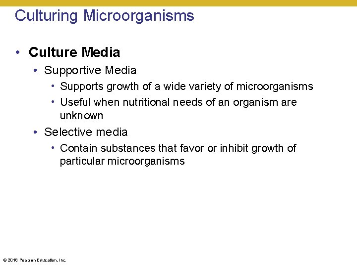 Culturing Microorganisms • Culture Media • Supportive Media • Supports growth of a wide