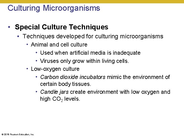 Culturing Microorganisms • Special Culture Techniques • Techniques developed for culturing microorganisms • Animal