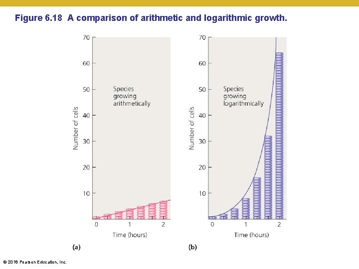 Figure 6. 18 A comparison of arithmetic and logarithmic growth. © 2018 Pearson Education,