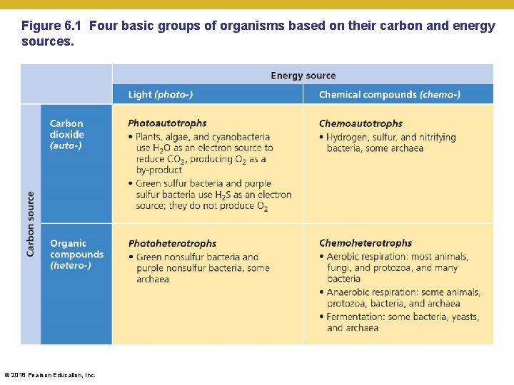 Figure 6. 1 Four basic groups of organisms based on their carbon and energy