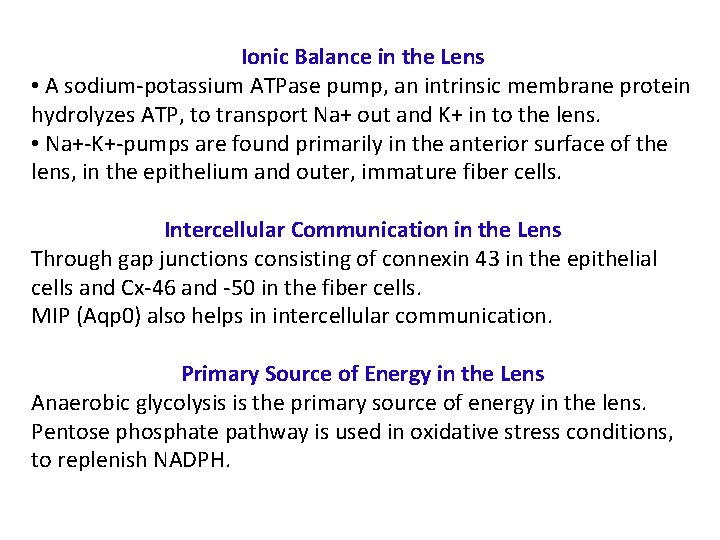 Ionic Balance in the Lens • A sodium-potassium ATPase pump, an intrinsic membrane protein