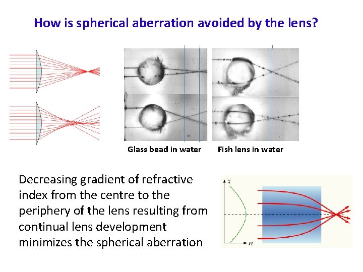 How is spherical aberration avoided by the lens? Glass bead in water Decreasing gradient