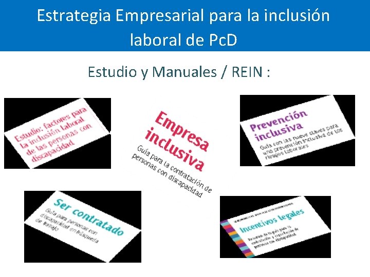 Estrategia Empresarial para la inclusión laboral de Pc. D Estudio y Manuales / REIN