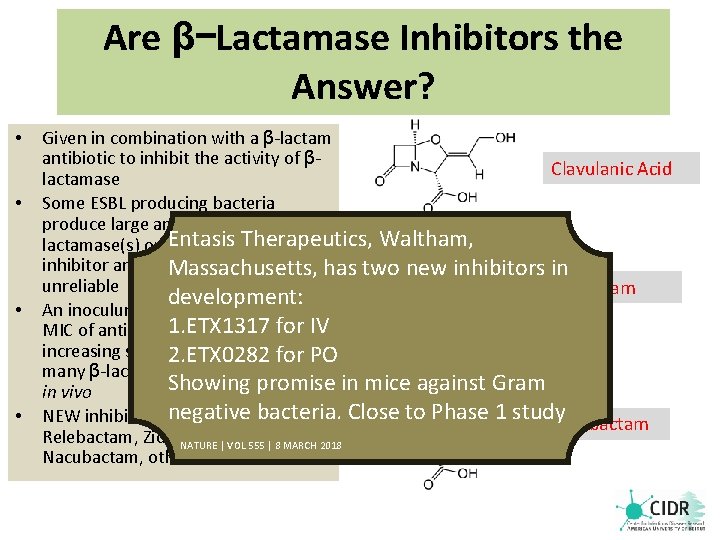 Are β−Lactamase Inhibitors the Answer? • • Given in combination with a β-lactam antibiotic