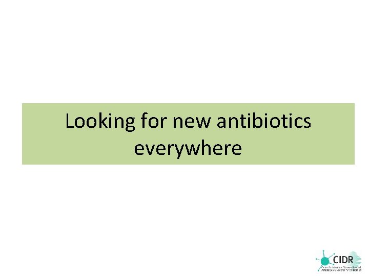 Looking for new antibiotics everywhere 