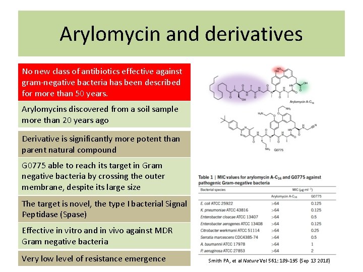 Arylomycin and derivatives No new class of antibiotics effective against gram-negative bacteria has been
