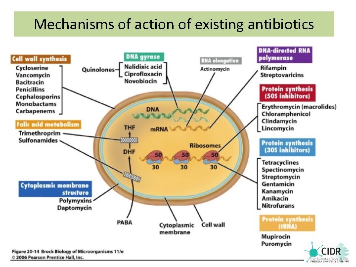 Mechanisms of action of existing antibiotics 